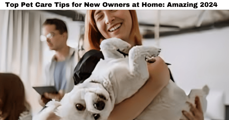 Top Pet Care Tips for New Owners at Home: Amazing 2024