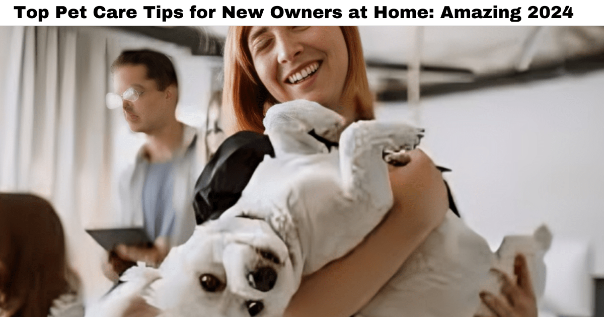 Top Pet Care Tips for New Owners at Home: Amazing 2024