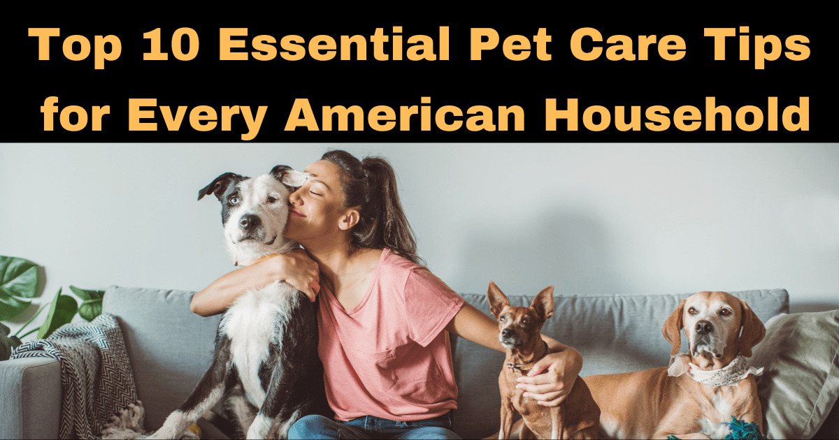 Top 10 Essential Pet Care Tips for Every American Household