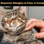 Tips to Manage Seasonal Allergies in Pets: A Complete Guide 2025