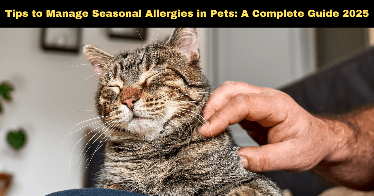 Tips to Manage Seasonal Allergies in Pets: A Complete Guide 2025