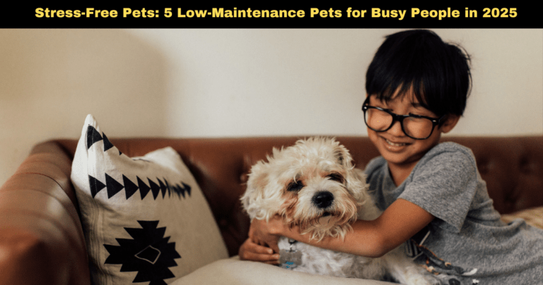 Stress-Free Pets: 5 Low-Maintenance Pets for Busy People in 2025