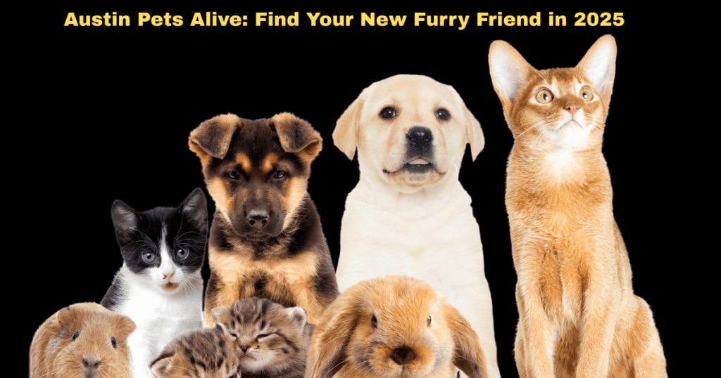 Austin Pets Alive: Find Your New Furry Friend in 2025