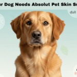 7 Signs Your Dog Needs Absolut Pet Skin Supplements