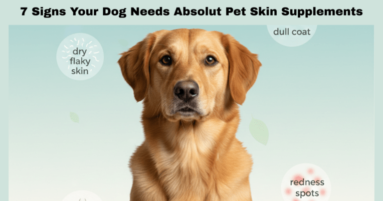 7 Signs Your Dog Needs Absolut Pet Skin Supplements