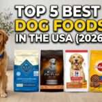 Top 5 Best Dog Foods in the USA (2026) – Vet Recommended & Budget Options