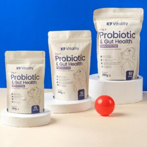 Dog Probiotic Supplement